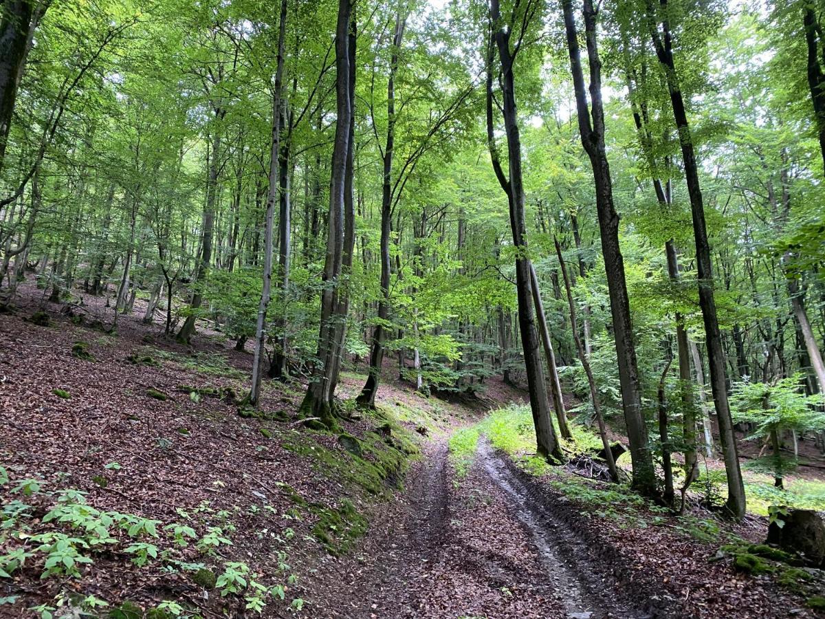 Waldlaeufer Brilon Daire Dış mekan fotoğraf