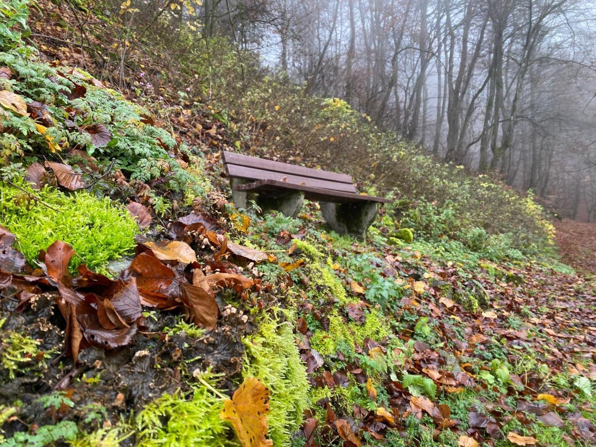 Waldlaeufer Brilon Daire Dış mekan fotoğraf