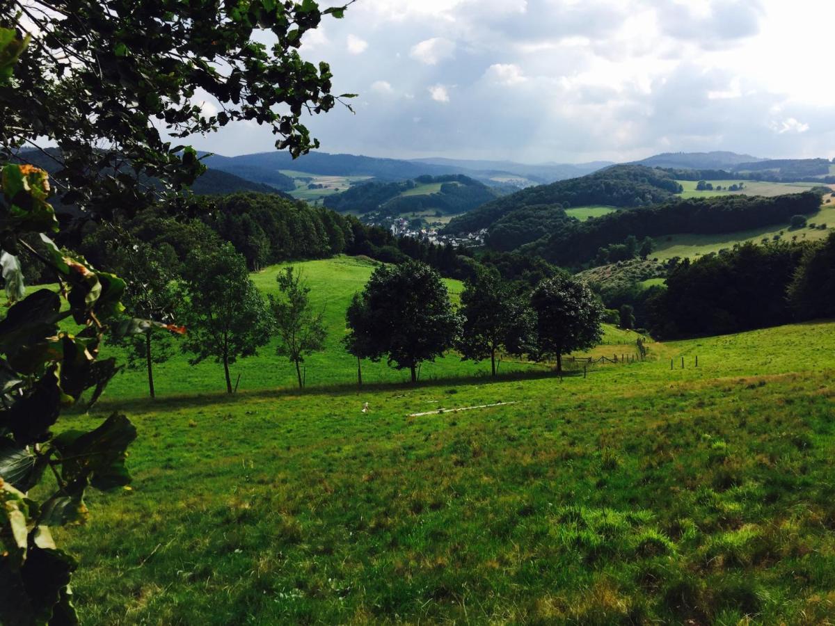 Waldlaeufer Brilon Daire Dış mekan fotoğraf