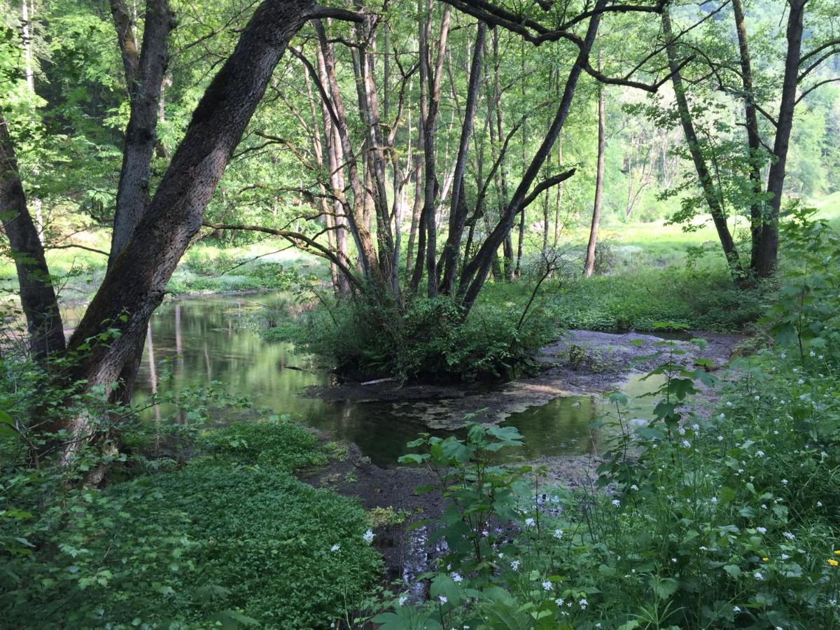 Waldlaeufer Brilon Daire Dış mekan fotoğraf
