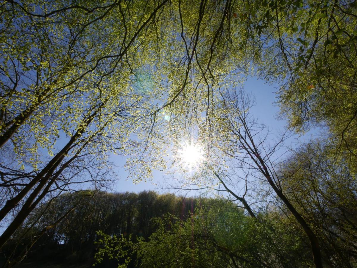Waldlaeufer Brilon Daire Dış mekan fotoğraf